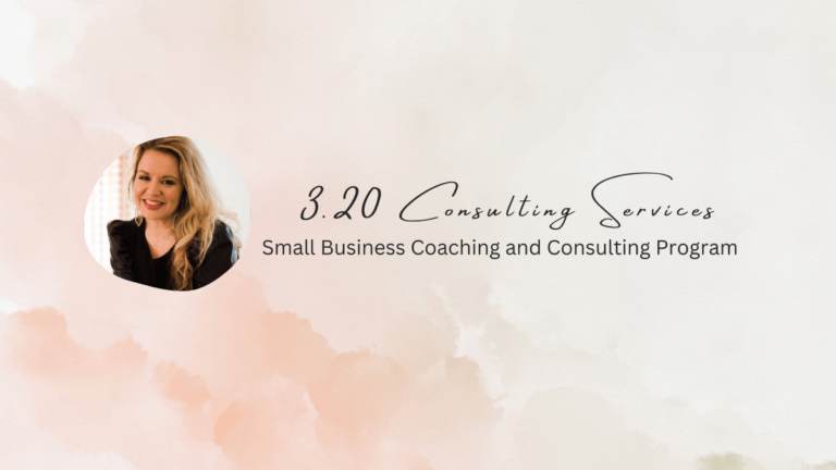 3.20 Consulting Small Business